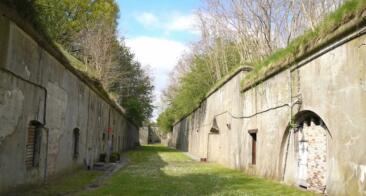 Préservation de la faune locale… Chiroptères en vue 🦇